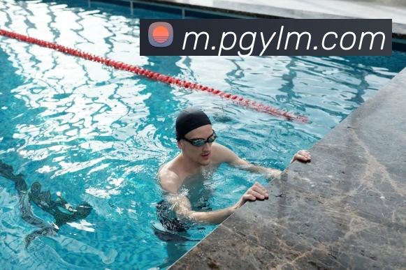 pg模拟器发展历程